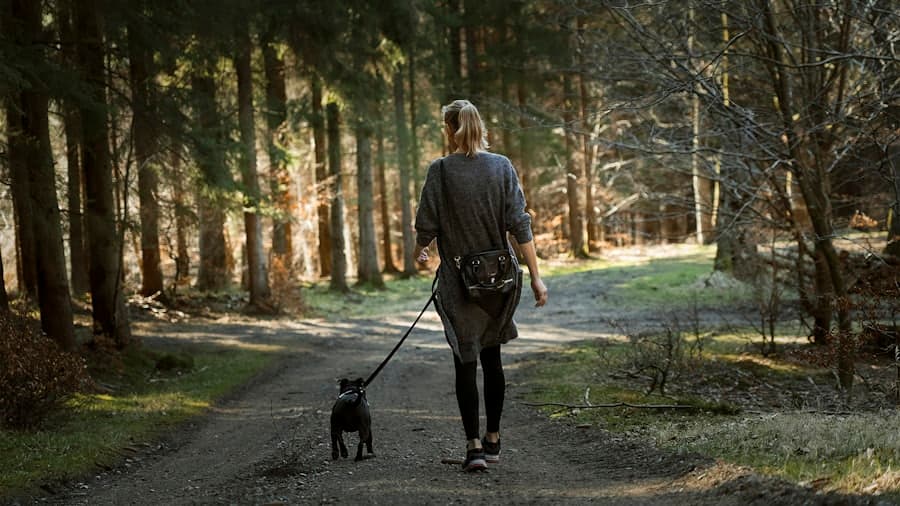 A dog walker on a woodland track with a small black dog on a lead